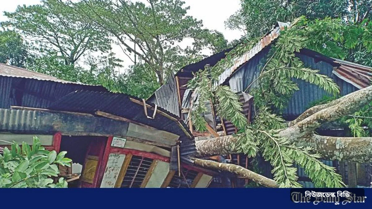 ঘূর্ণিঝড় বুলবুল ২০১৯: সুন্দরবন হয়ে আঘাত, ৯ জেলায় ২৬ প্রাণহানি