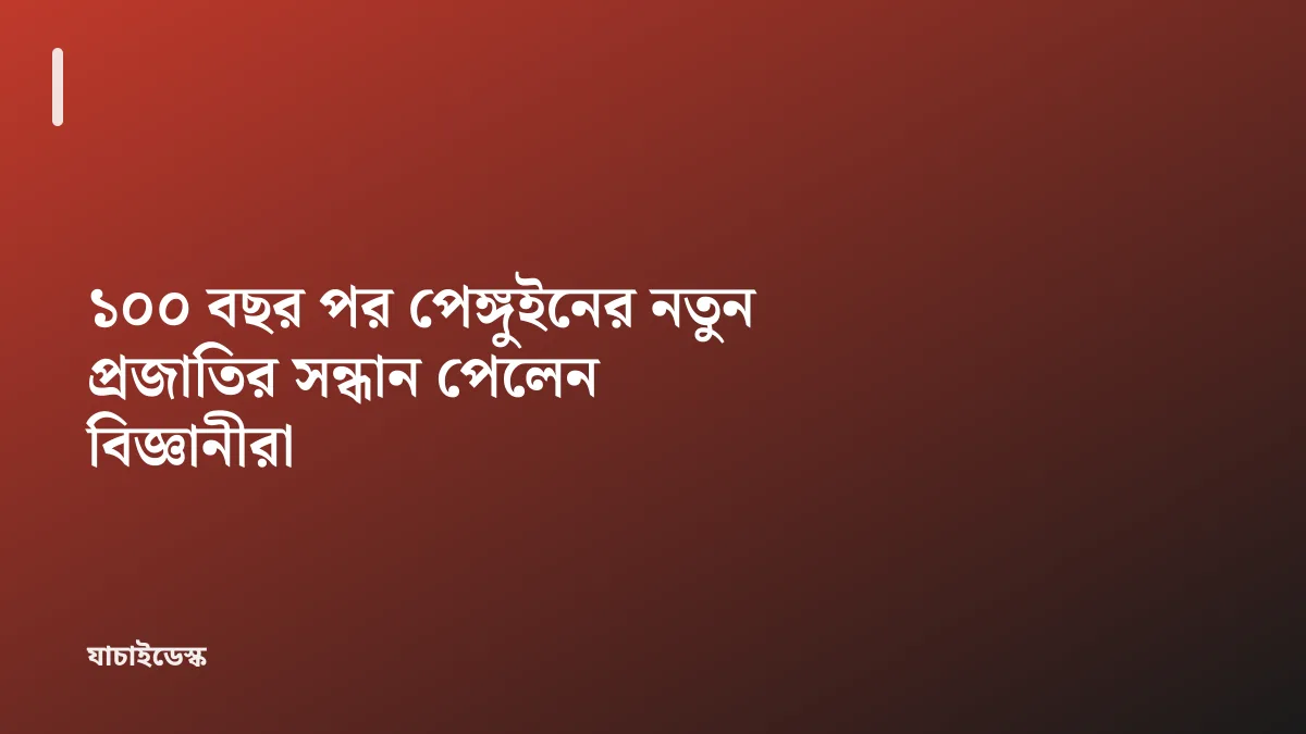 ১০০ বছর পর পেঙ্গুইনের নতুন প্রজাতির সন্ধান পেলেন বিজ্ঞানীরা — যাচাইডেস্ক