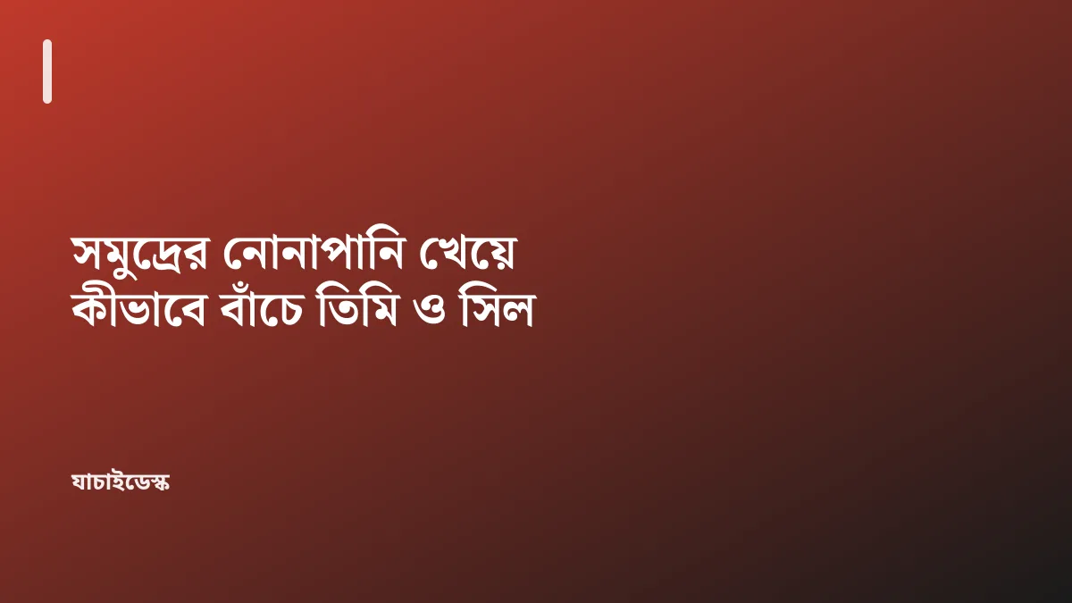 সমুদ্রের নোনাপানি খেয়ে কীভাবে বাঁচে তিমি ও সিল — যাচাইডেস্ক