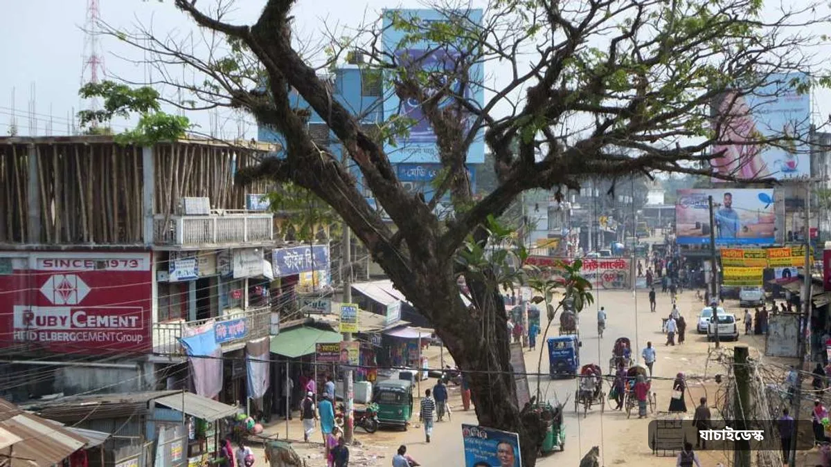 কাশিয়ানীতে বাসের ধাক্কায় বীর মুক্তিযোদ্ধাসহ নিহত ২