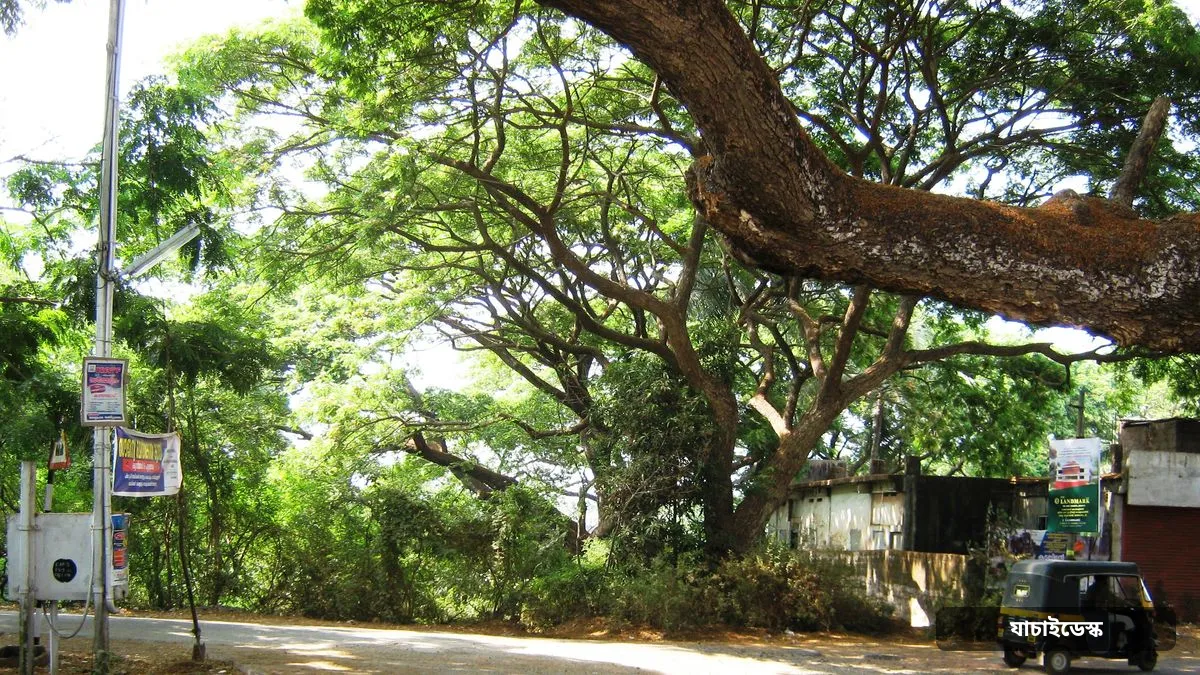 জ্বালানির দাম বাড়ায় বাসভাড়া বাড়ানোর প্রস্তাব মন্ত্রণালয়ে