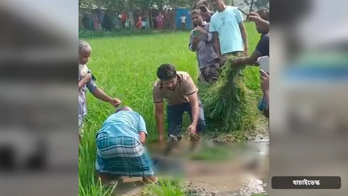 ইঁদুর মারা বৈদ্যুতিক ফাঁদে জড়িয়ে ছিল কৃষকের লাশ