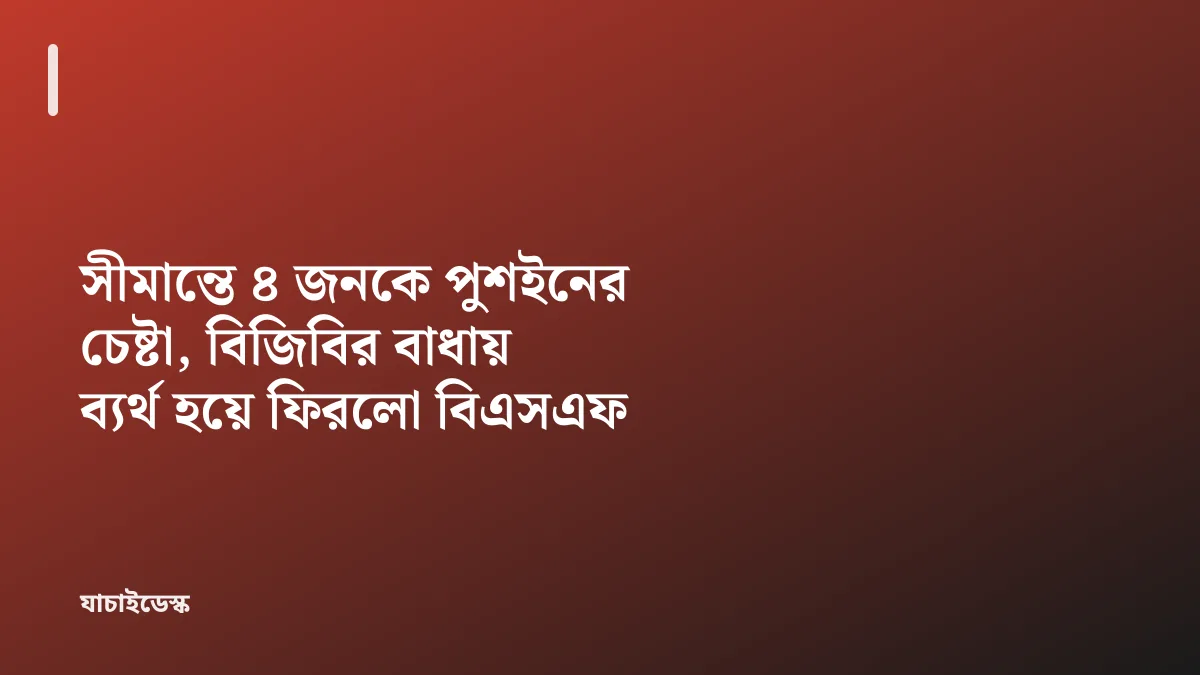সীমান্তে ৪ জনকে পুশইনের চেষ্টা, বিজিবির বাধায় ব্যর্থ হয়ে ফিরলো বিএসএফ — যাচাইডেস্ক