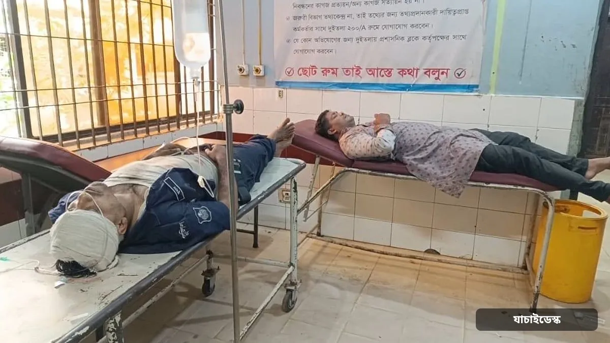 ব্রাহ্মণবাড়িয়ায় পুলিশের পিকআপ ভ্যান খাদে, পুলিশ-আসামিসহ আহত ৫