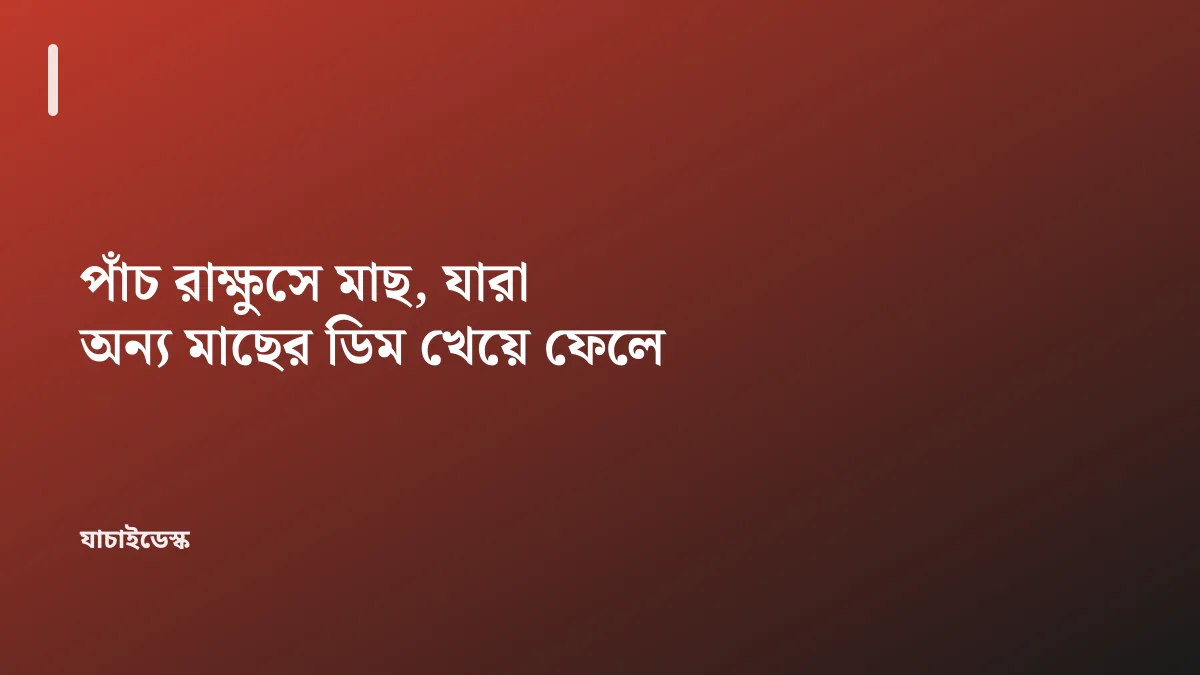 পাঁচ রাক্ষুসে মাছ, যারা অন্য মাছের ডিম খেয়ে ফেলে — যাচাইডেস্ক