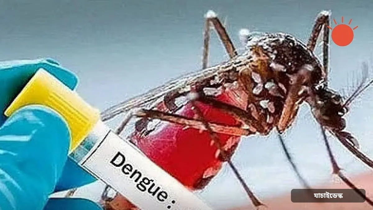 ডেঙ্গুতে আরও দুই মৃত্যু, হাসপাতালে ভর্তি ৯৫৫