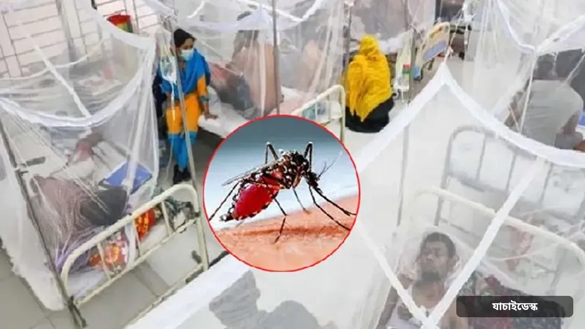 ডেঙ্গুতে আরও দুজনের মৃত্যু, নতুন করে হাসপাতালে ভর্তি ১,২৩২